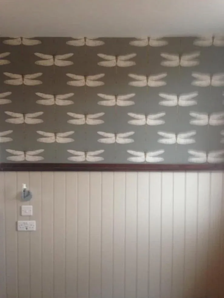 Dragonfly-pattern wallpaper above a painted panelled dado in a finished room
